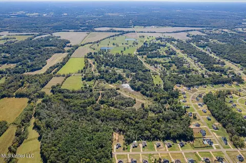 View/Area - 14691 Hidden Loop, Byhalia, MS 38611 photo 3 of 6