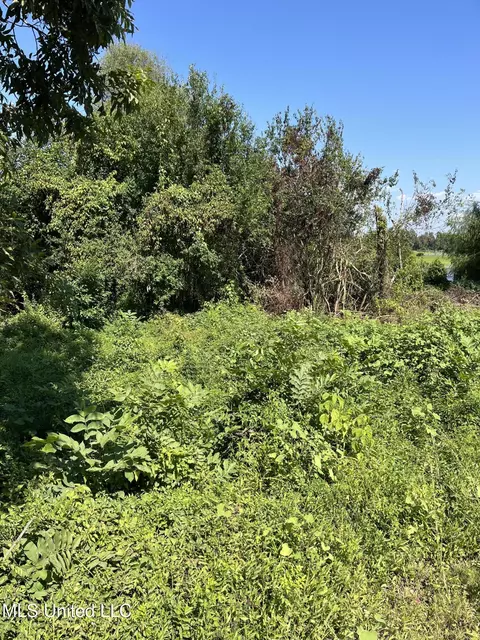 Old River Boat Camp Road, Ridgecrest, LA 71334