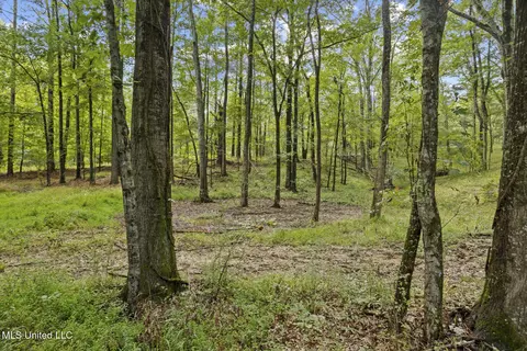 Exterior - 3820 Farr Rd, Edwards, MS 39066 photo 8 of 9