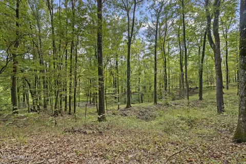 Other - 3820 Farr Rd, Edwards, MS 39066 photo 3 of 4