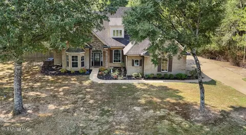 Exterior - 9389 Thornridge Dr, Hernando, MS 38632 photo 12 of 12