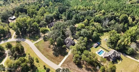 View/Area - 9389 Thornridge Dr, Hernando, MS 38632 photo 1 of 3