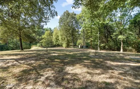 Exterior - 9389 Thornridge Dr, Hernando, MS 38632 photo 10 of 12
