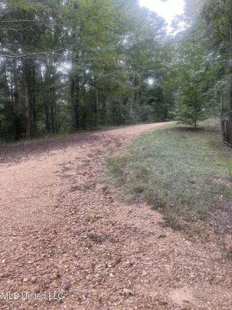 2092 Roberts Ln, Wesson, MS 39191 photo 38