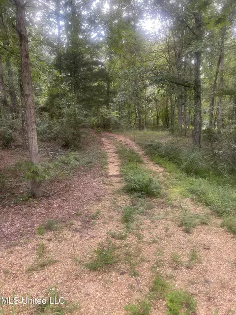 2092 Roberts Ln, Wesson, MS 39191 photo 37