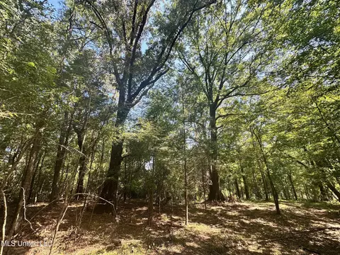 5 Robinson Rd, Canton, MS 39046 photo 6