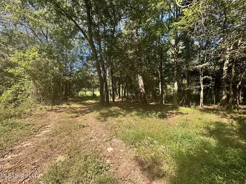 5 Robinson Rd, Canton, MS 39046 photo 5