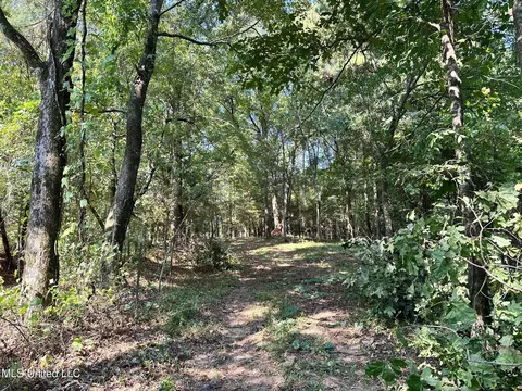 5 Robinson Rd, Canton, MS 39046 photo 8