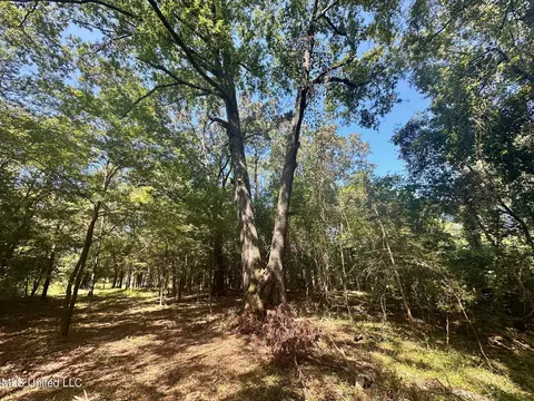 5 Robinson Rd, Canton, MS 39046 photo 2