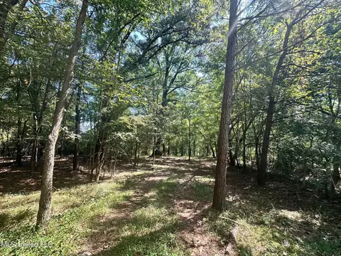 5 Robinson Rd, Canton, MS 39046 photo 4