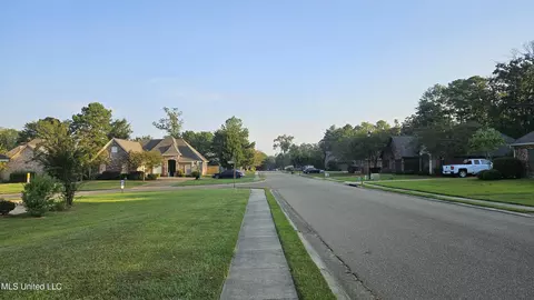 View/Area - 126 Turtle Ridge Dr, Brandon, MS 39047 photo 2 of 3