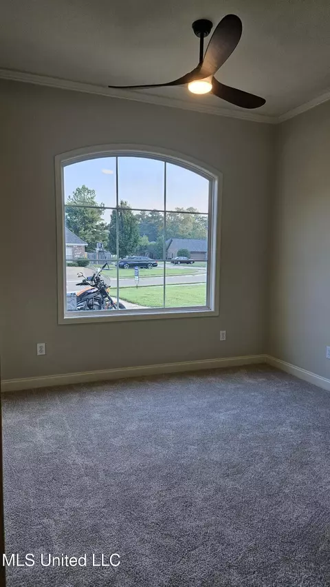 Other - 126 Turtle Ridge Dr, Brandon, MS 39047 photo 6 of 29