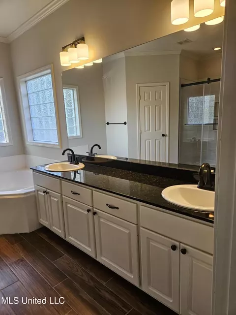 Bath - 126 Turtle Ridge Dr, Brandon, MS 39047 photo 9 of 14