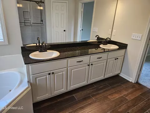 Bath - 126 Turtle Ridge Dr, Brandon, MS 39047 photo 12 of 14