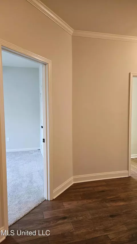 Entry Way - 126 Turtle Ridge Dr, Brandon, MS 39047 photo 7 of 9