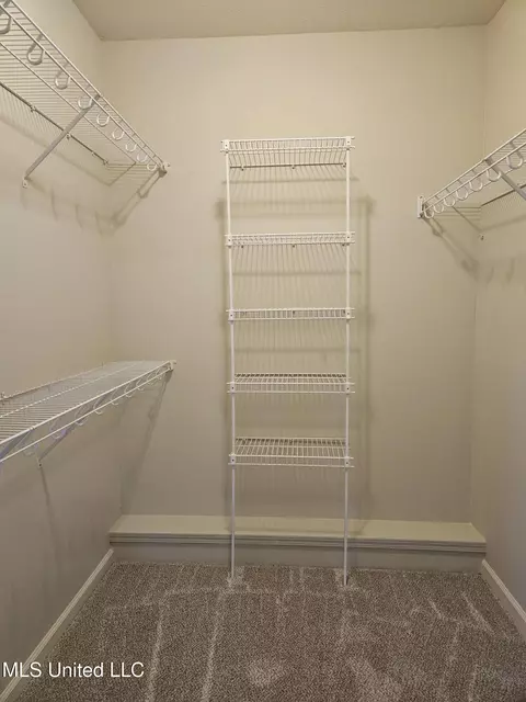 Other - 126 Turtle Ridge Dr, Brandon, MS 39047 photo 20 of 29