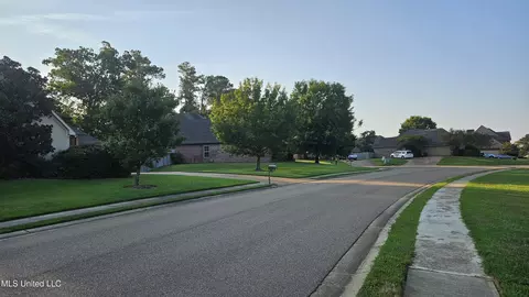 View/Area - 126 Turtle Ridge Dr, Brandon, MS 39047 photo 1 of 3