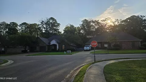 View/Area - 126 Turtle Ridge Dr, Brandon, MS 39047 photo 3 of 3