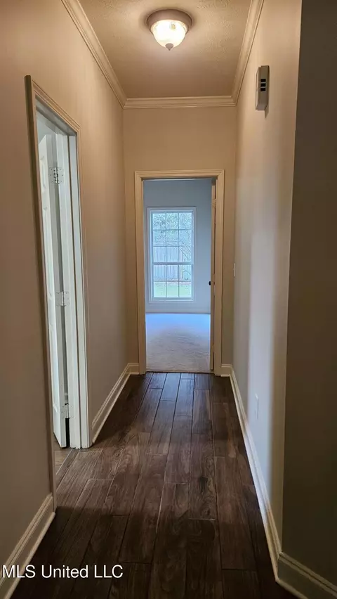 Entry Way - 126 Turtle Ridge Dr, Brandon, MS 39047 photo 8 of 9