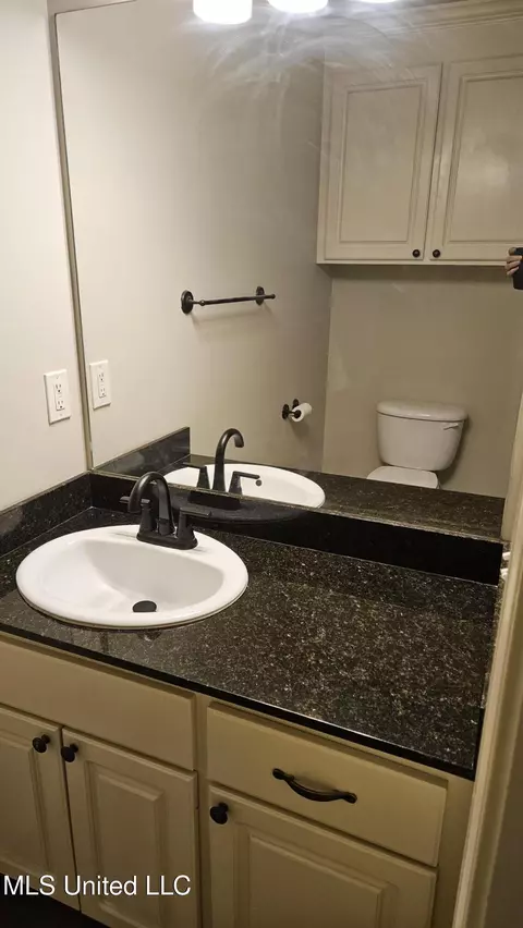 Bath - 126 Turtle Ridge Dr, Brandon, MS 39047 photo 6 of 14
