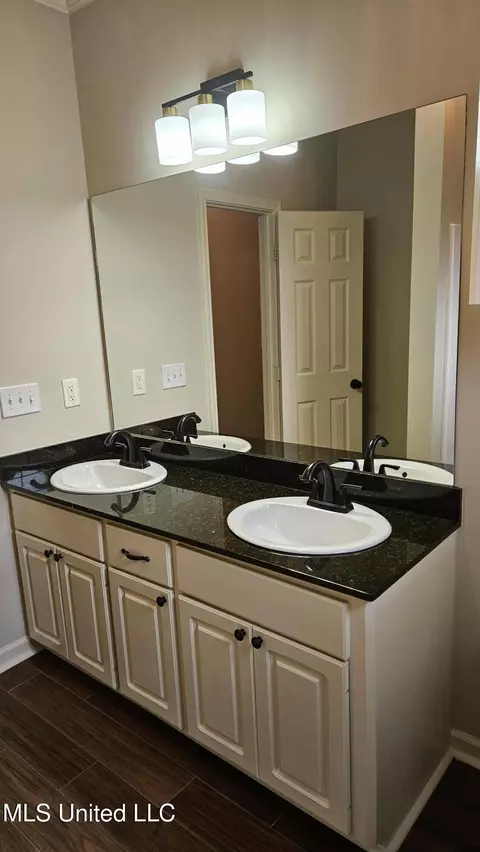 Other - 126 Turtle Ridge Dr, Brandon, MS 39047 photo 13 of 29