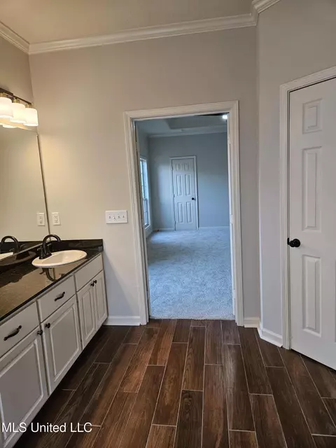 Bath - 126 Turtle Ridge Dr, Brandon, MS 39047 photo 13 of 14