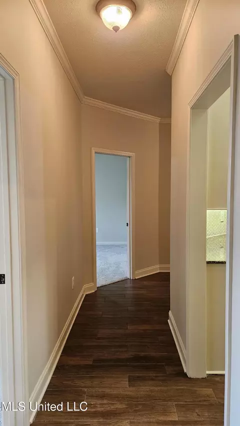 Entry Way - 126 Turtle Ridge Dr, Brandon, MS 39047 photo 6 of 9