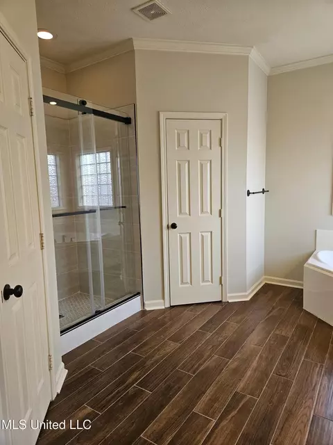 Bath - 126 Turtle Ridge Dr, Brandon, MS 39047 photo 8 of 14