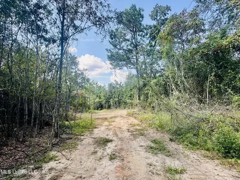 8 17 Acres Man Moulds Rd, Leakesville, MS 39451