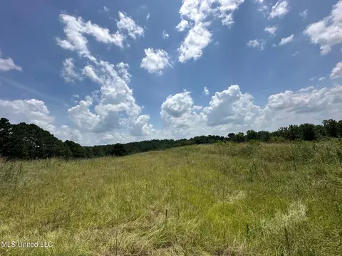 2 County Road 347, Philadelphia, MS 39350