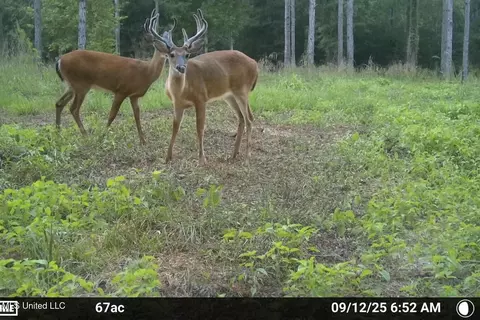 2637 Ewell Rd, Centreville, MS 39631