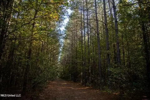Vaughan Rd Road, Vaughan, MS 39179 photo 17