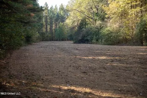 Vaughan Rd Road, Vaughan, MS 39179 photo 6
