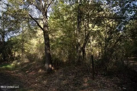 Vaughan Rd Road, Vaughan, MS 39179 photo 24