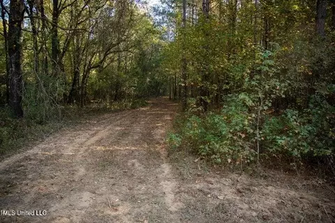 Vaughan Rd Road, Vaughan, MS 39179 photo 8