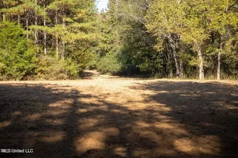 Vaughan Rd Road, Vaughan, MS 39179 photo 19