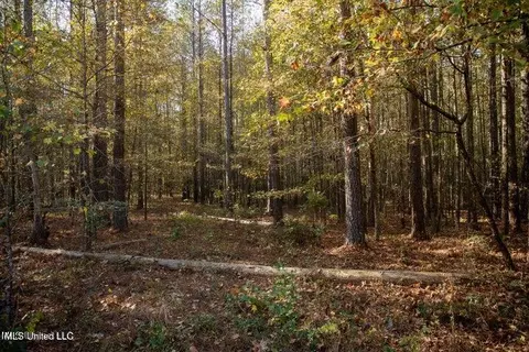 Vaughan Rd Road, Vaughan, MS 39179 photo 2