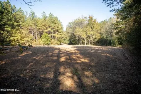 Vaughan Rd Road, Vaughan, MS 39179 photo 18