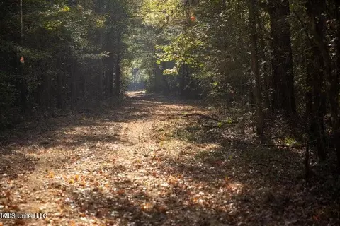 Vaughan Rd Road, Vaughan, MS 39179 photo 5