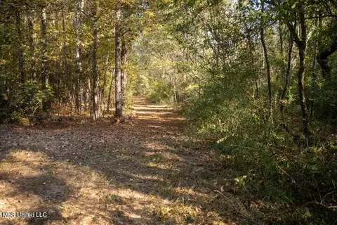 Vaughan Rd Road, Vaughan, MS 39179 photo 10