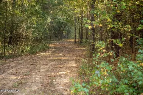 Vaughan Rd Road, Vaughan, MS 39179 photo 9