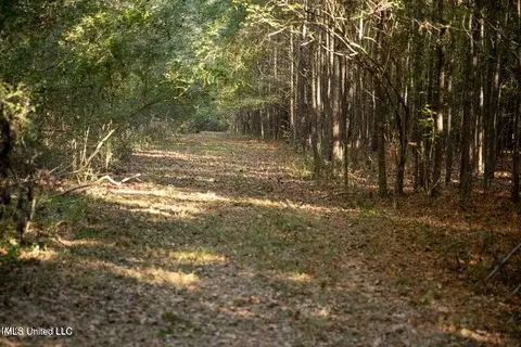 Vaughan Rd Road, Vaughan, MS 39179 photo 16