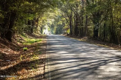 Vaughan Rd Road, Vaughan, MS 39179 photo 25