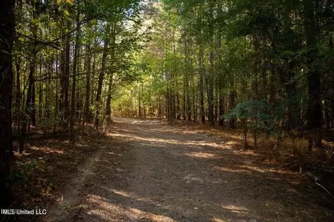 Vaughan Rd Road, Vaughan, MS 39179 photo 22