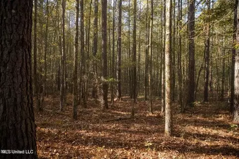 Vaughan Rd Road, Vaughan, MS 39179 photo 3