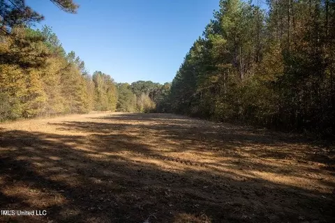 Vaughan Rd Road, Vaughan, MS 39179 photo 4
