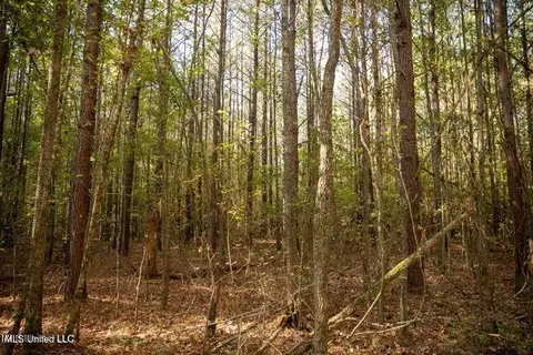 Vaughan Rd Road, Vaughan, MS 39179 photo 20