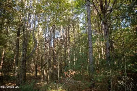 Vaughan Rd Road, Vaughan, MS 39179 photo 21