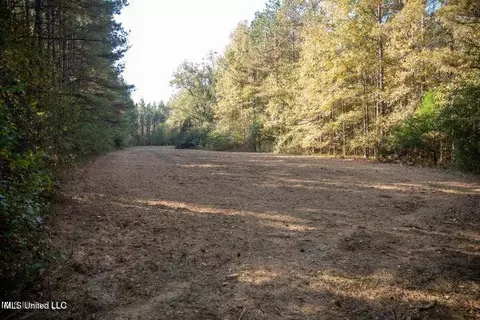 Vaughan Rd Road, Vaughan, MS 39179 photo 7