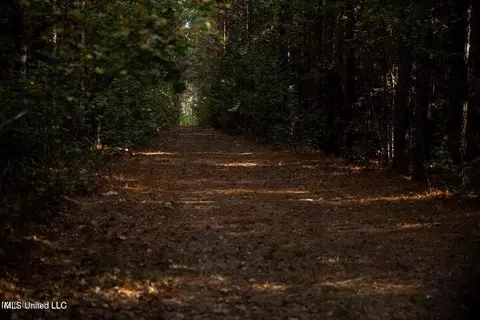 Vaughan Rd Road, Vaughan, MS 39179 photo 15